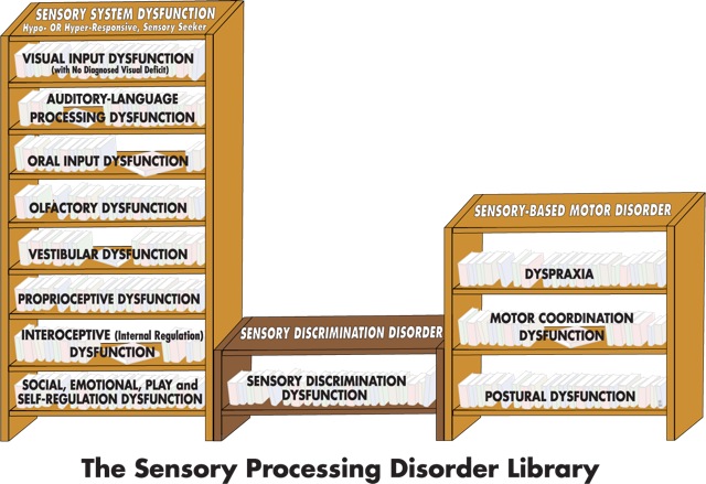 The Basics: An Overview of the Different Types of Sensory Processing Disorders